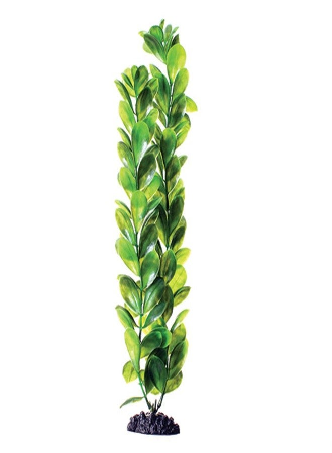 Underwater Treasures Green Bacopa - 16" - Image 1